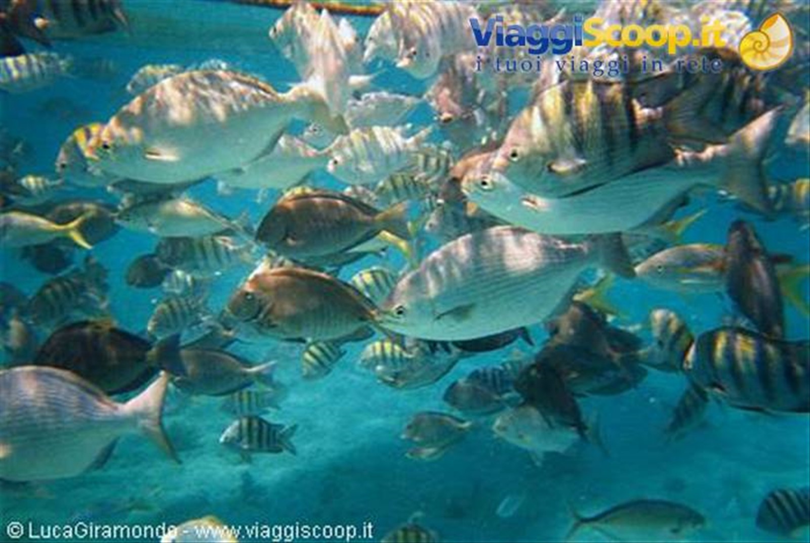 Isla Mujeres