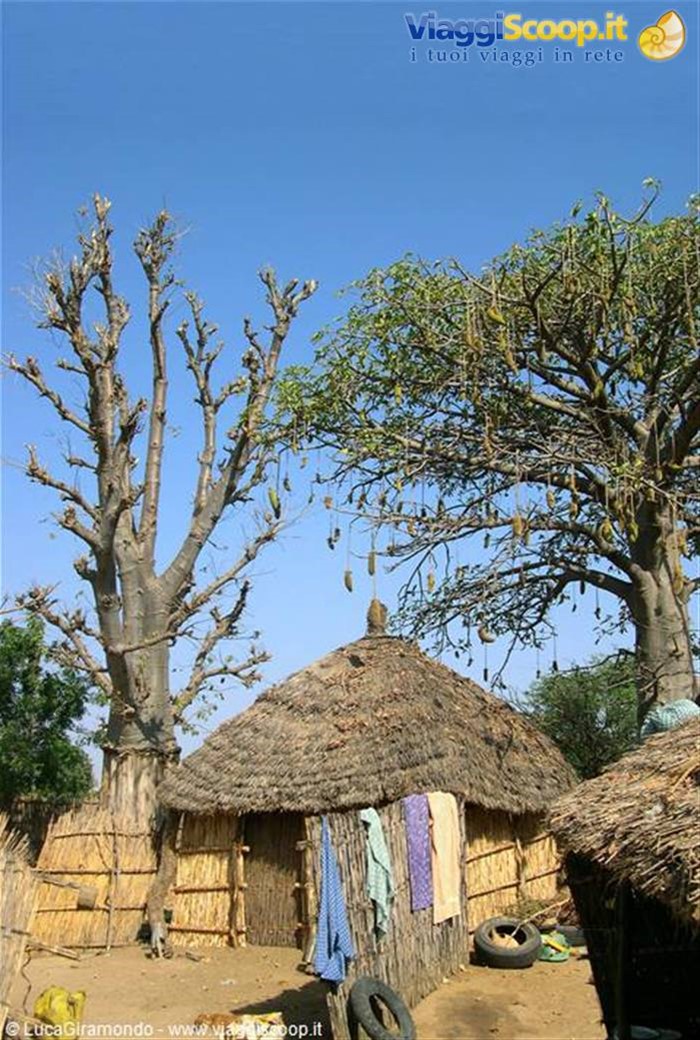 Villaggio nella savana