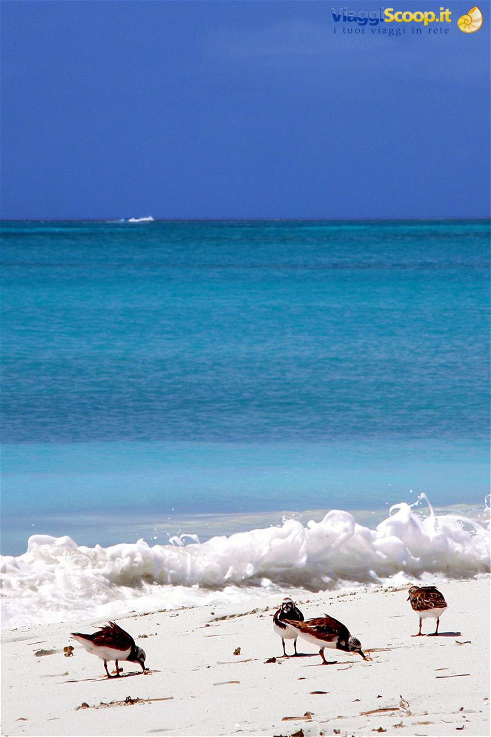 Grace Bay