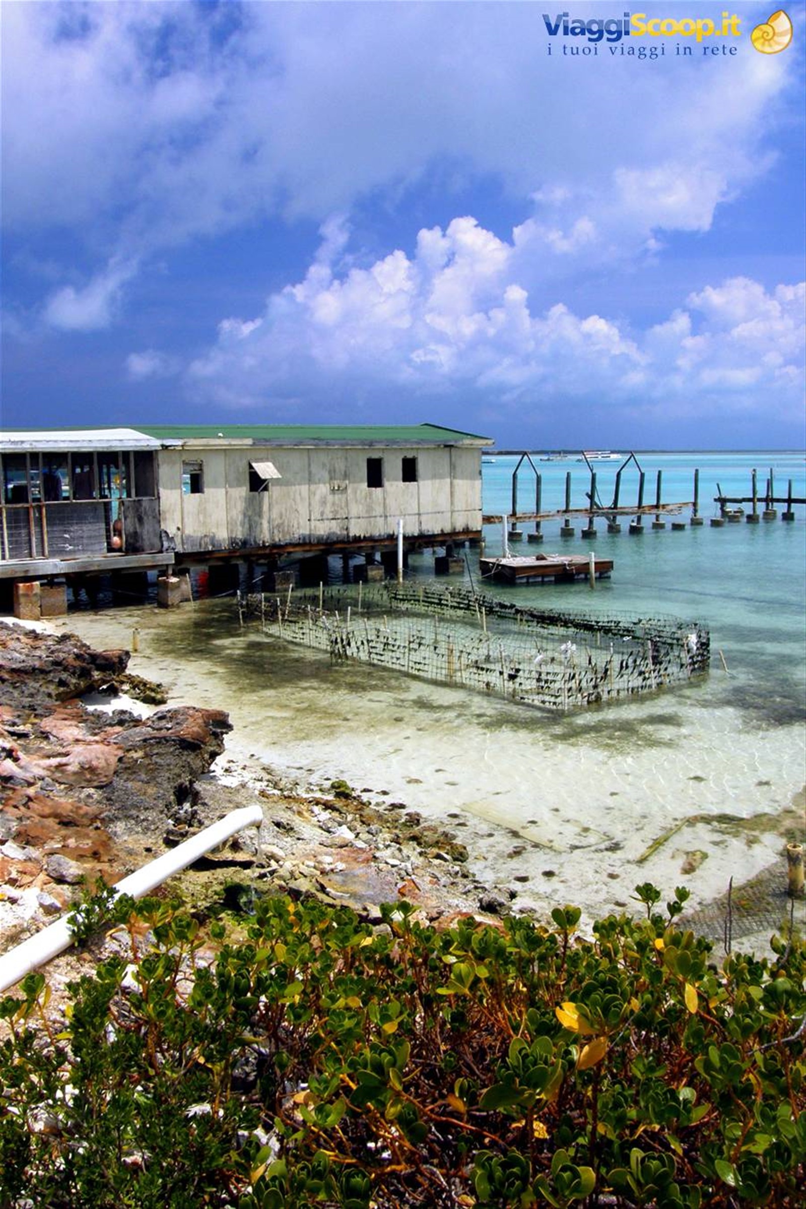 Conch Farm