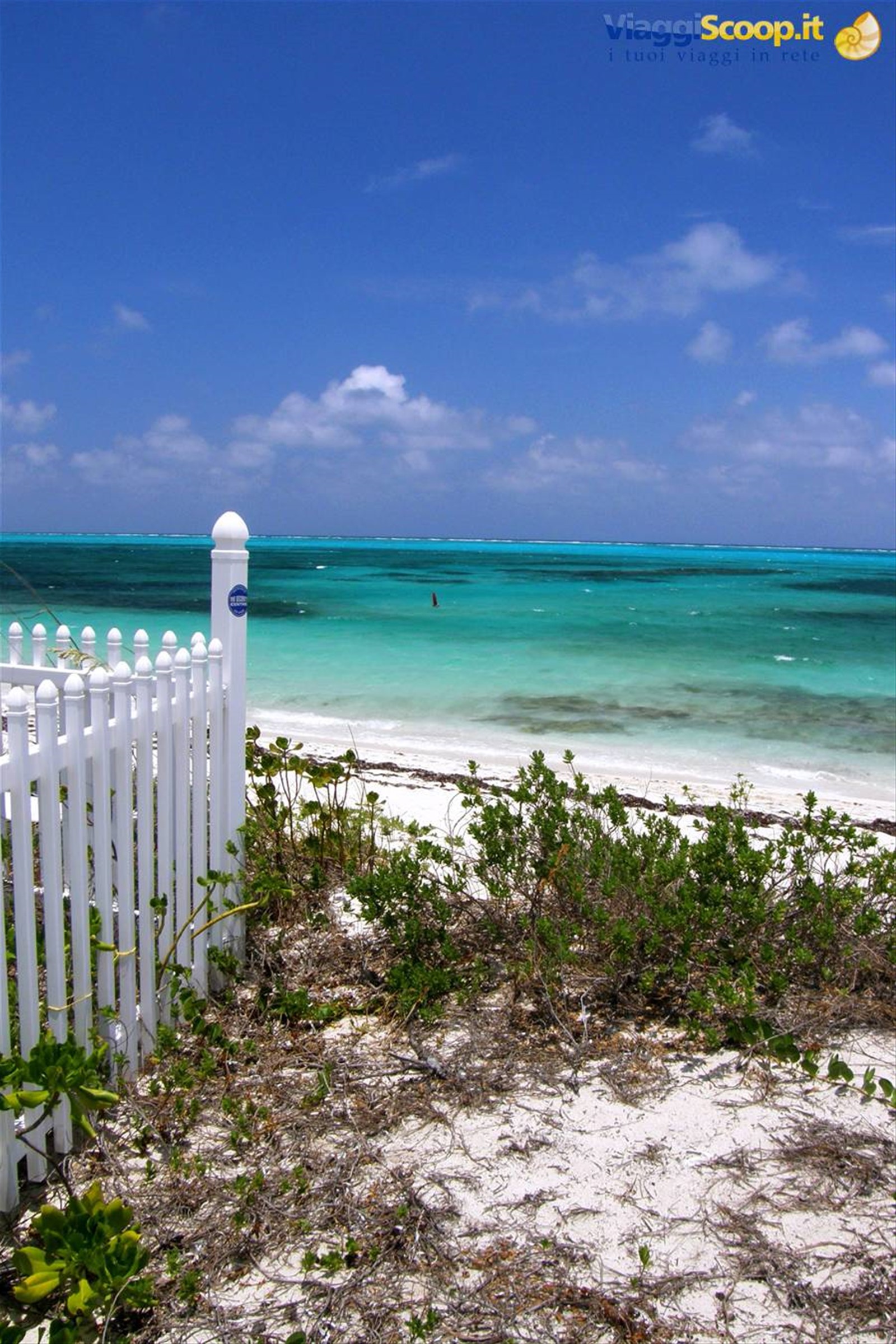Grace Bay - Smith's Reef