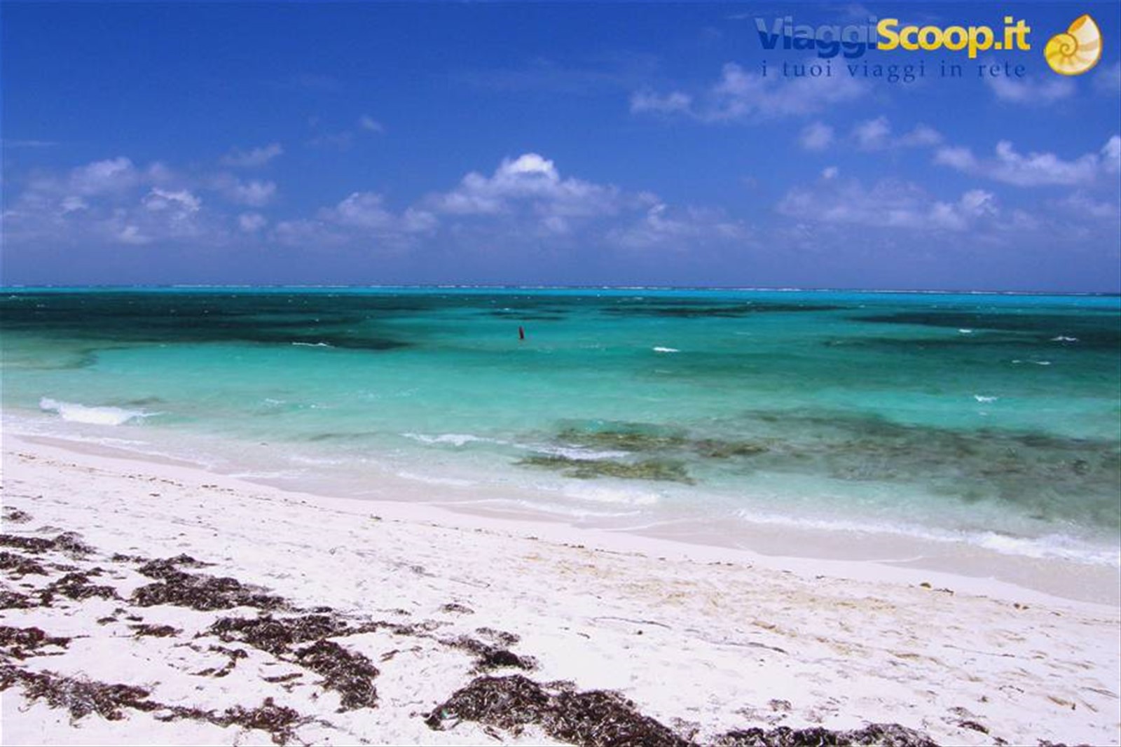 Grace Bay - Smith's Reef