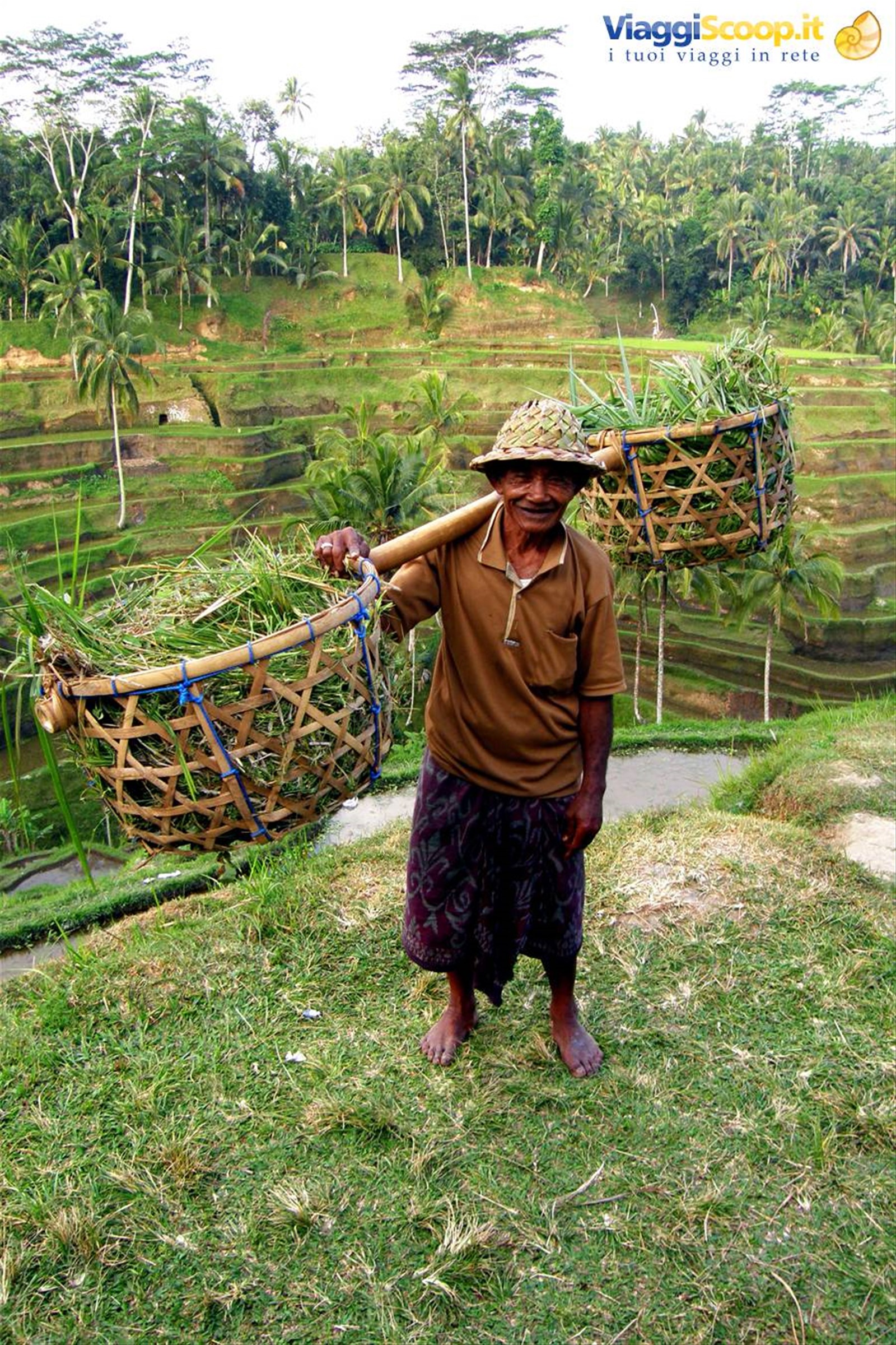 Risaie di Tampaksiring
