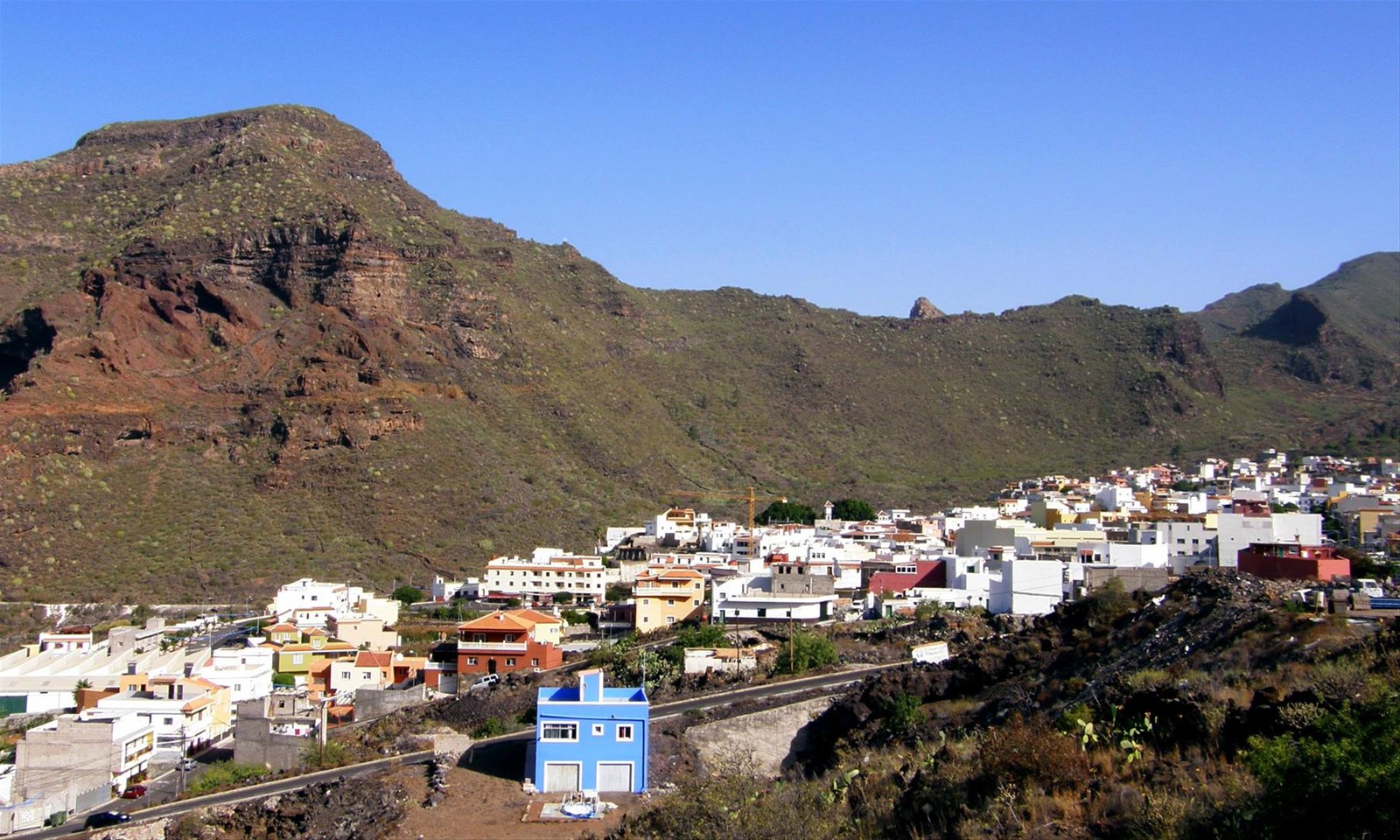 Tamaimo
