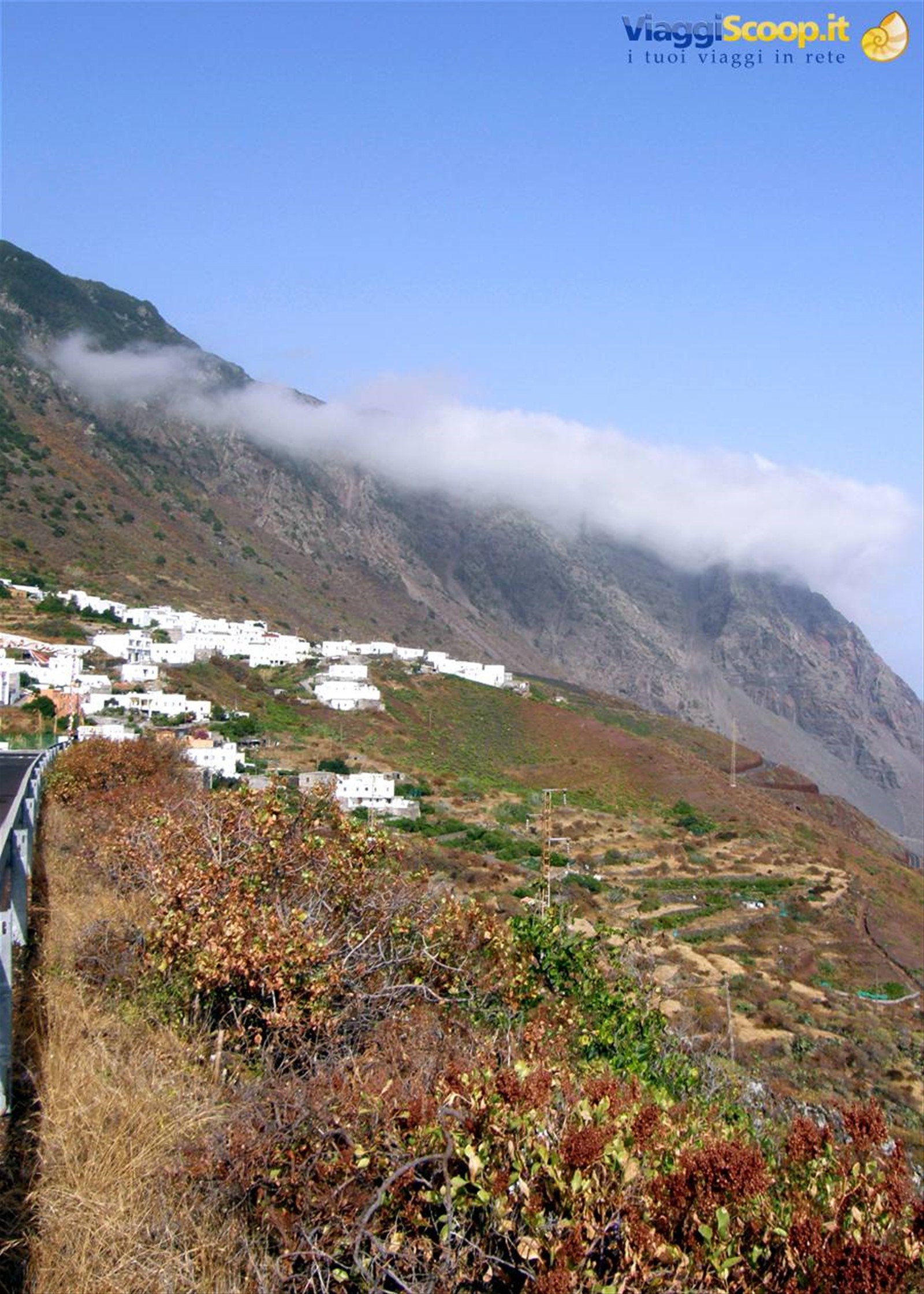 Sabinosa
