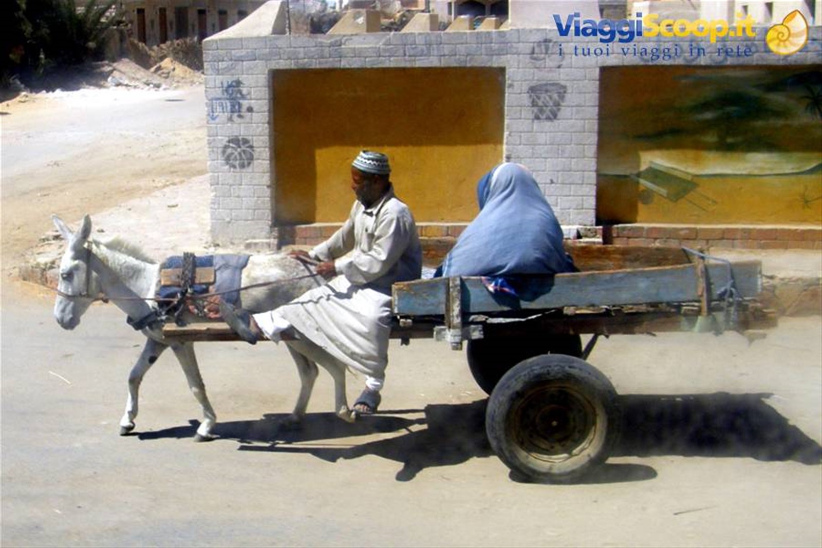 Gente di Siwa