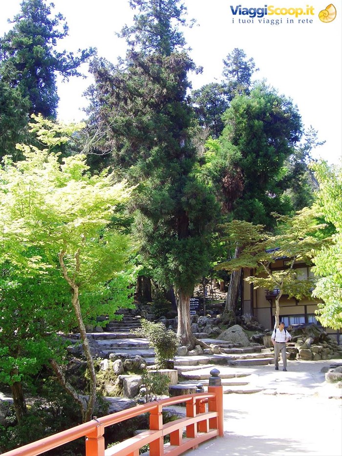iwaso ryokan...che vegetazione!!