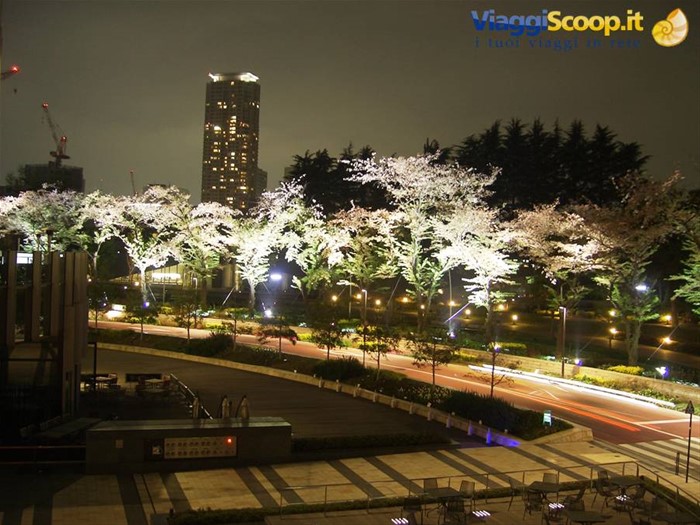 Roppongi