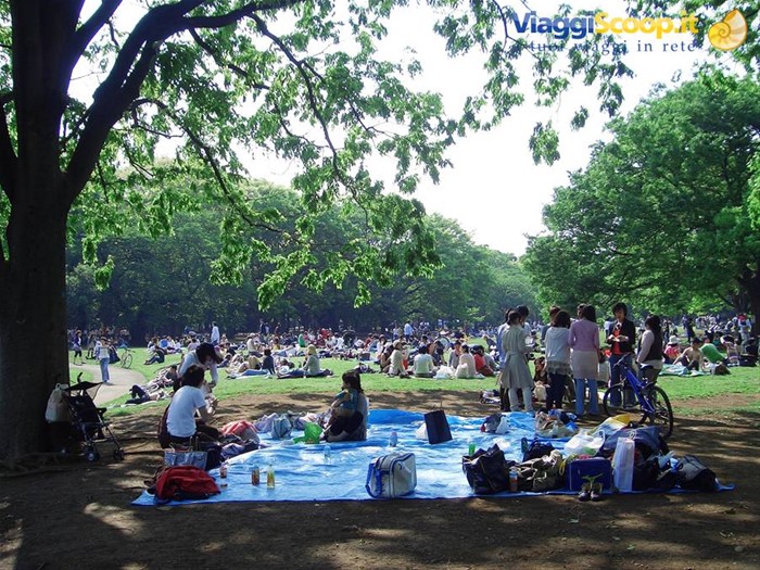 yoyogi park - Tokyo