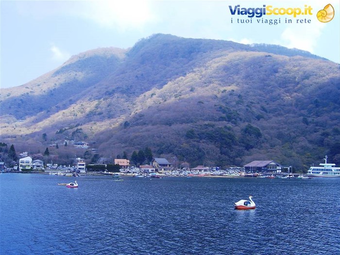 cigni giganti ad Hakone...