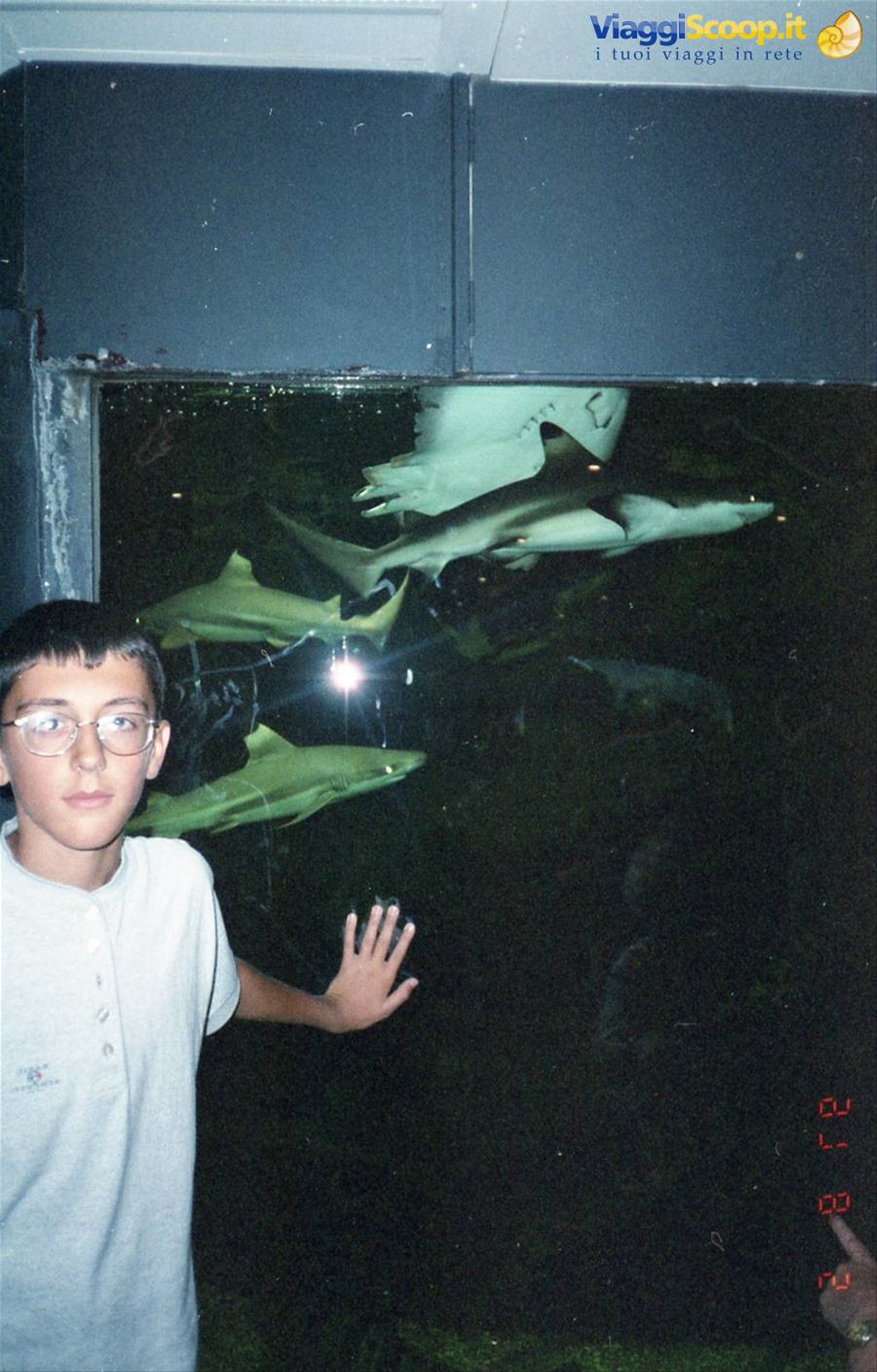 Grena - acquario