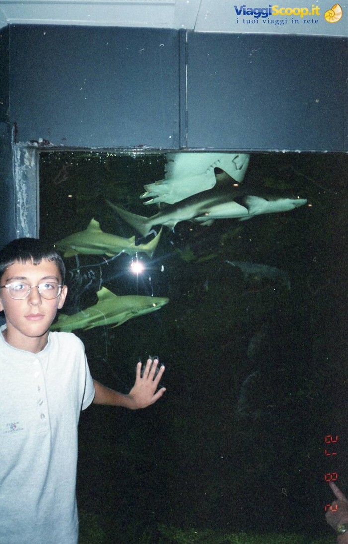Grena - acquario