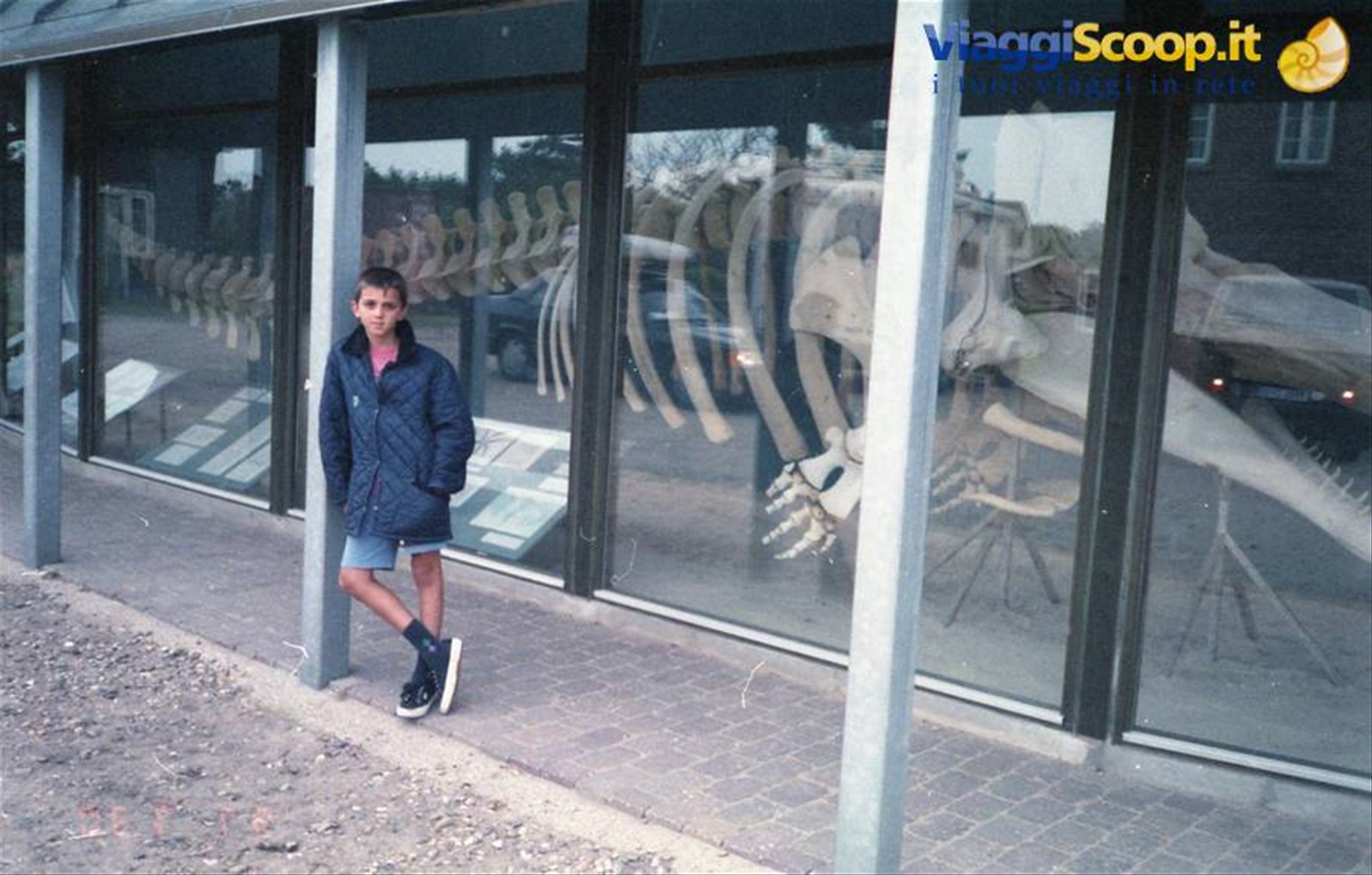 Nymindegab - museo ittico