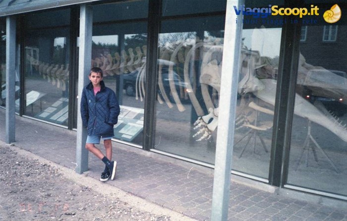 Nymindegab - museo ittico