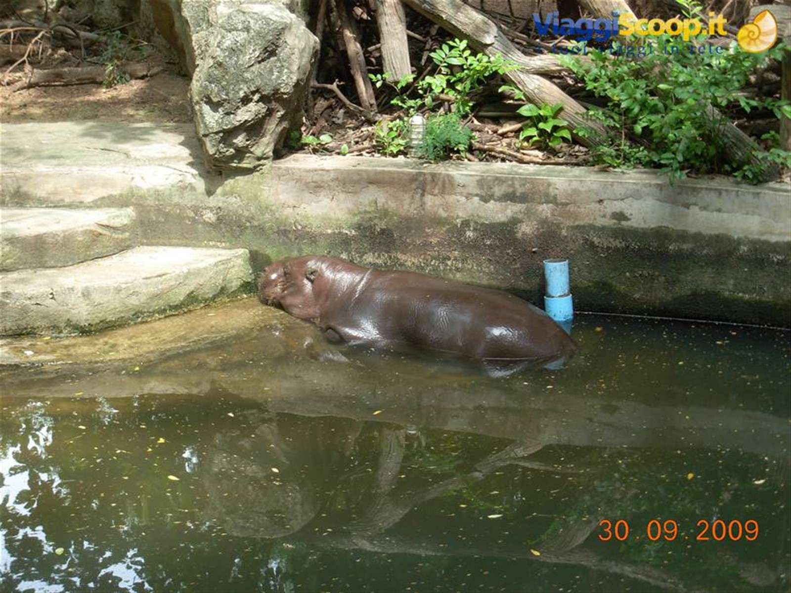 Bangkok - Dusit zoo