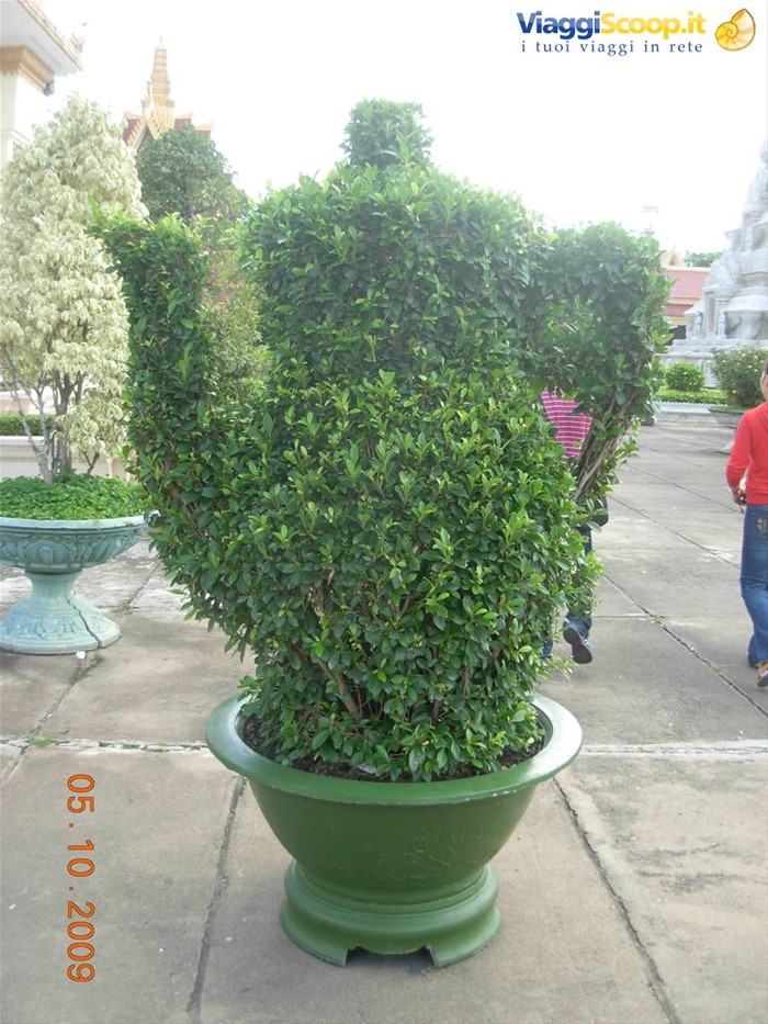 Phnom Penh - giardini