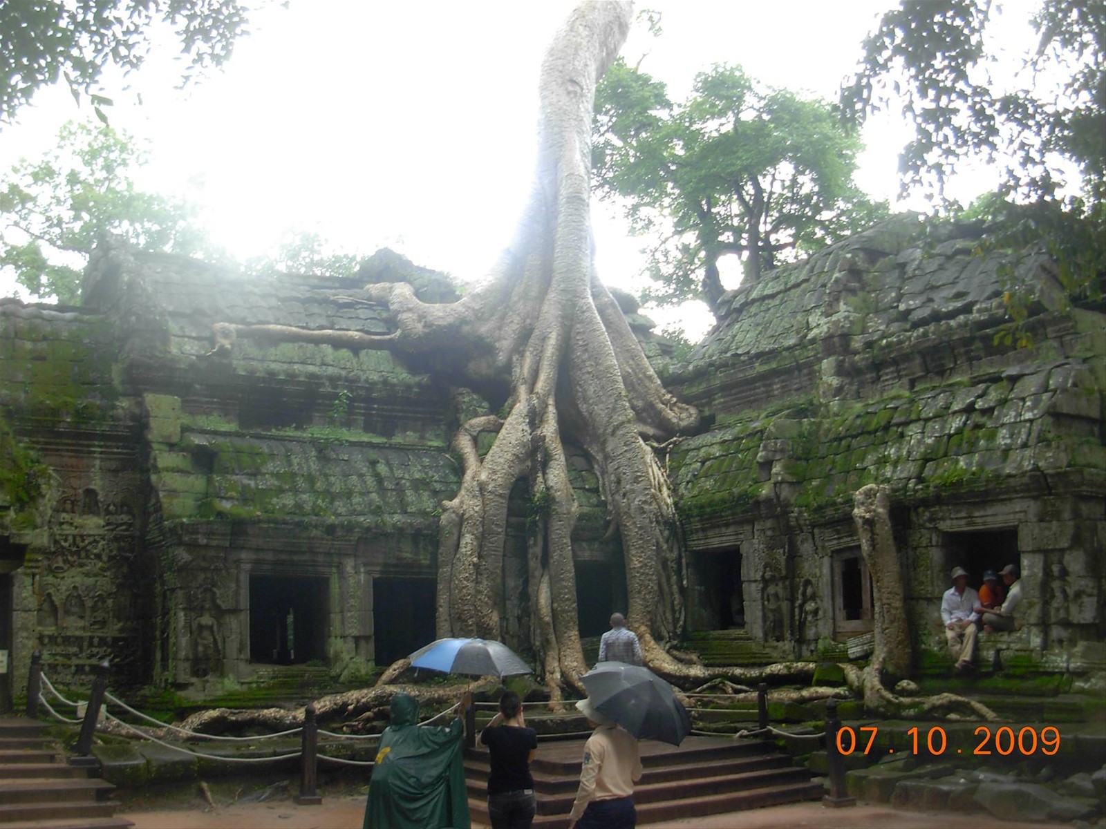 Siem Reap - Ta Prohm
