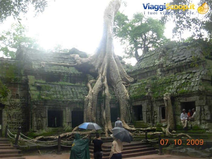 Siem Reap - Ta Prohm