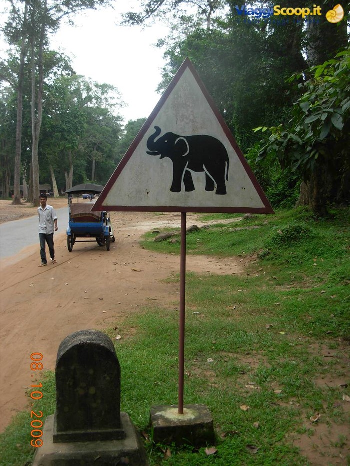 Siem Reap - occhio!