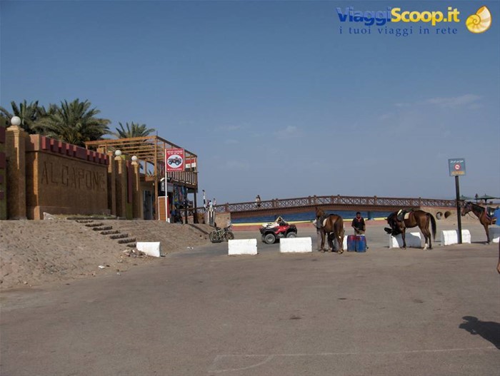 Dahab