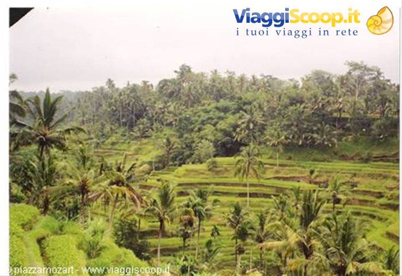 Foto di viaggio in INDONESIA