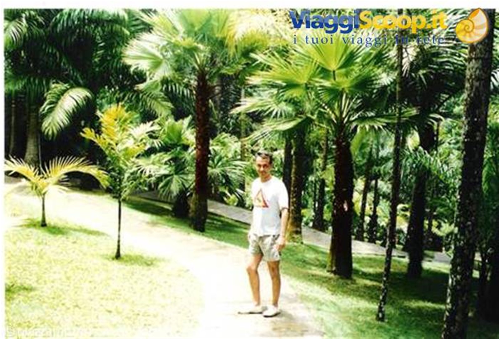 Foto di viaggio in MARTINIQUE
