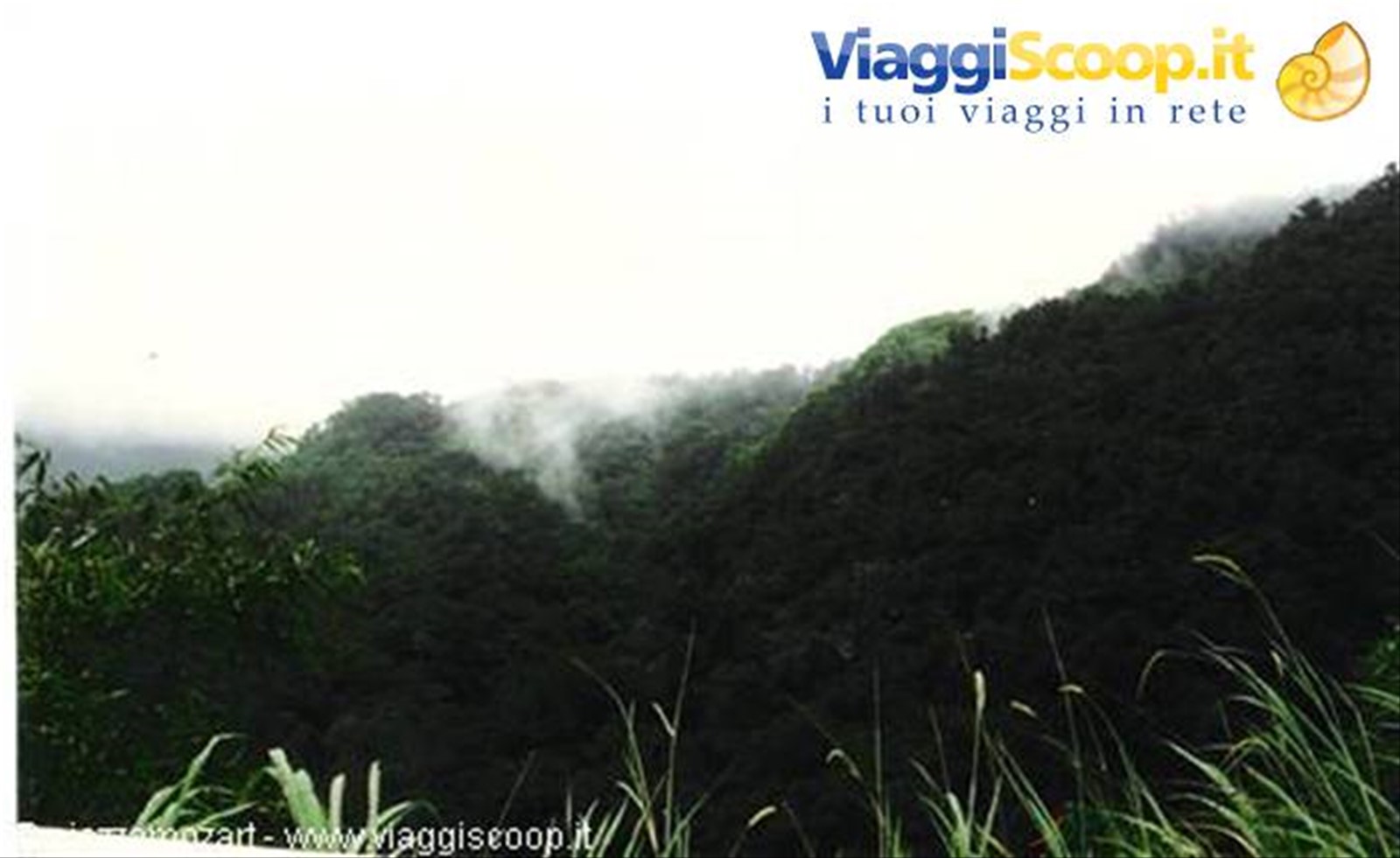 Foto di viaggio in MARTINIQUE