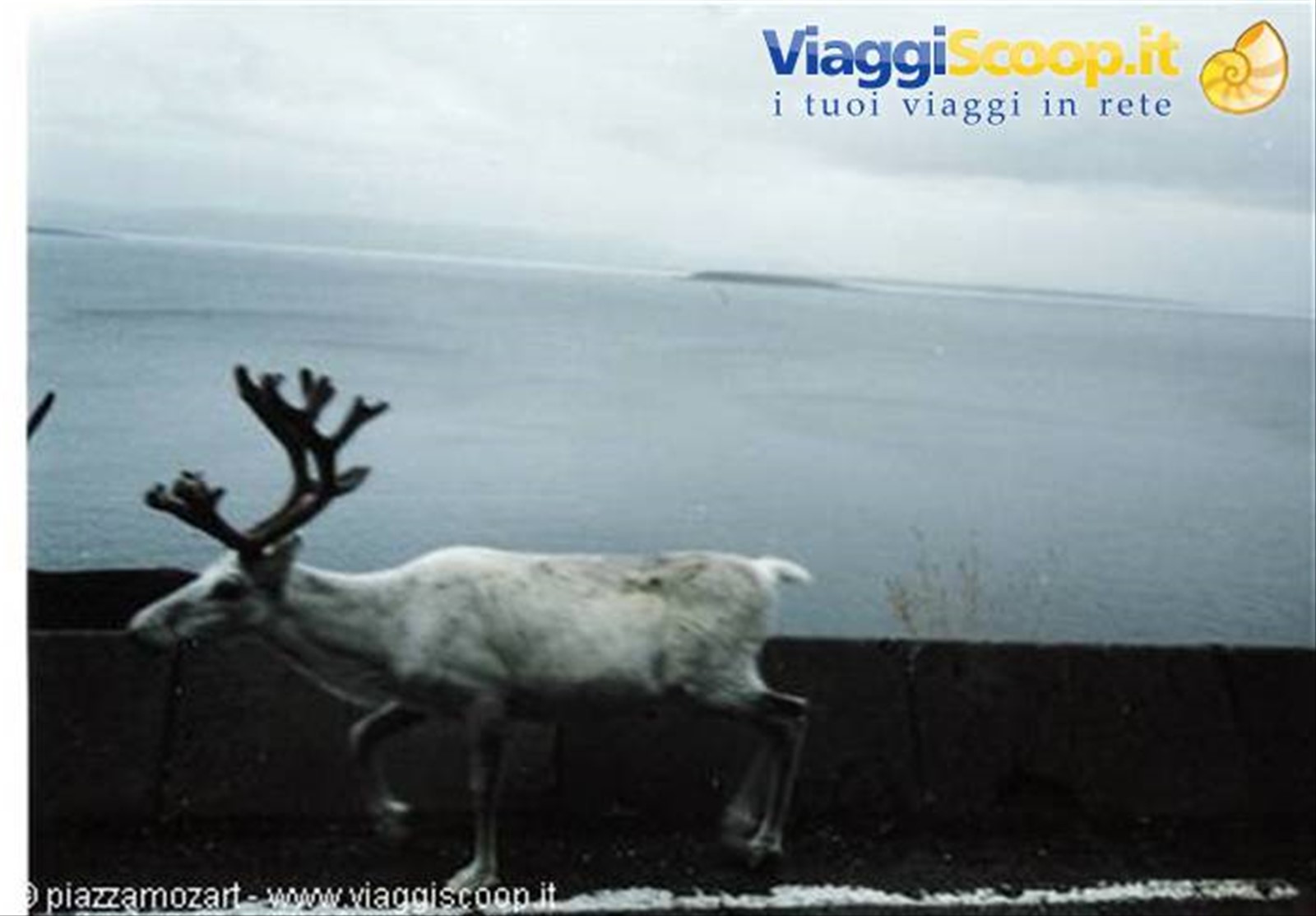 Foto di viaggio in FINLANDIA