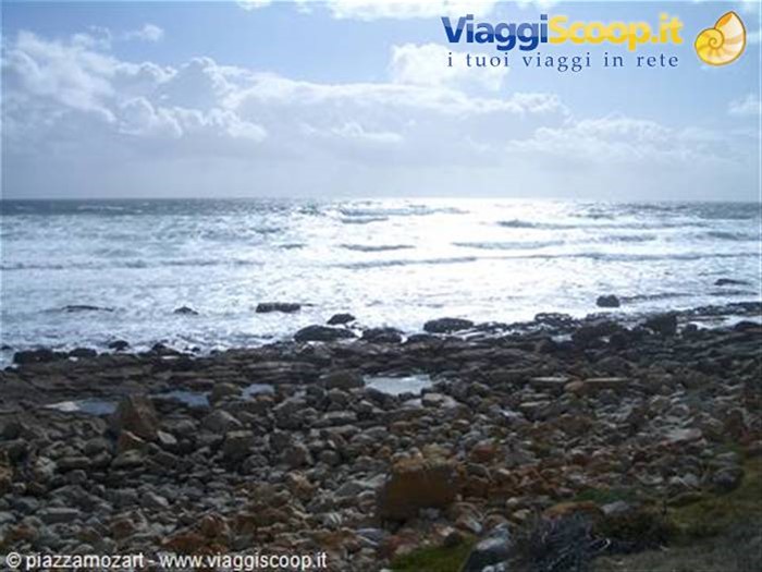 strada costiera dal capo veso Cape Town