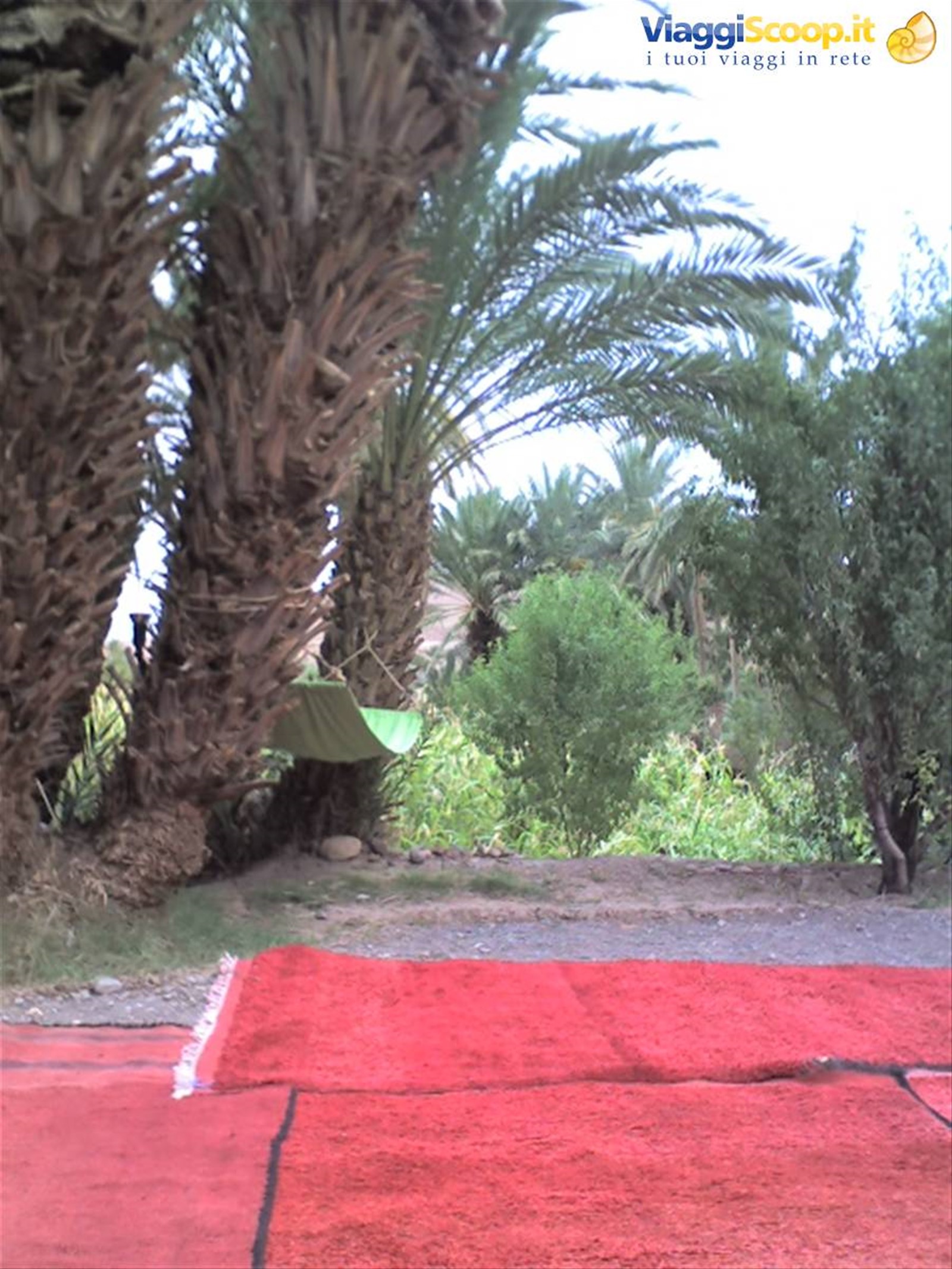 Foto di viaggio in MAROCCO