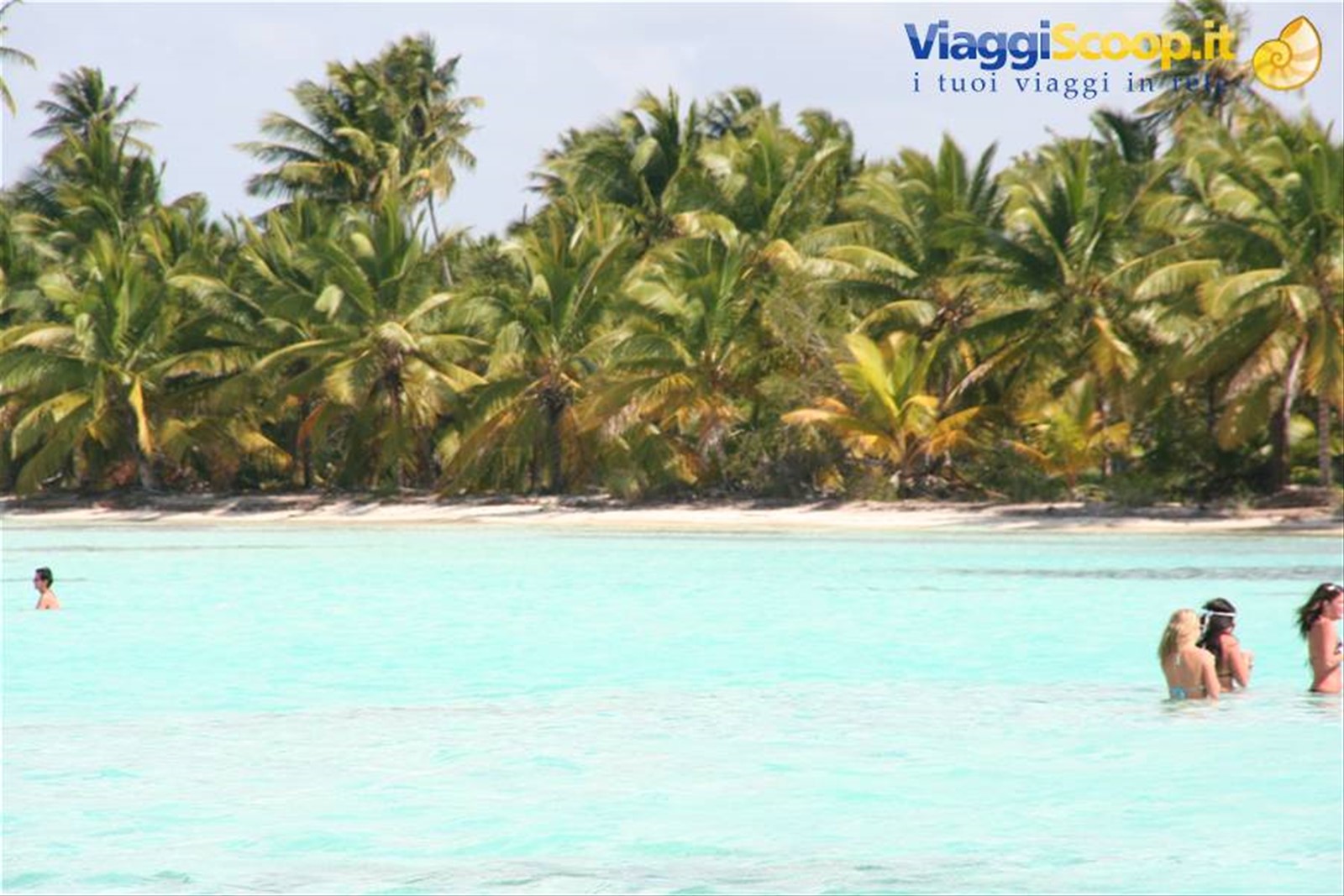 Saona