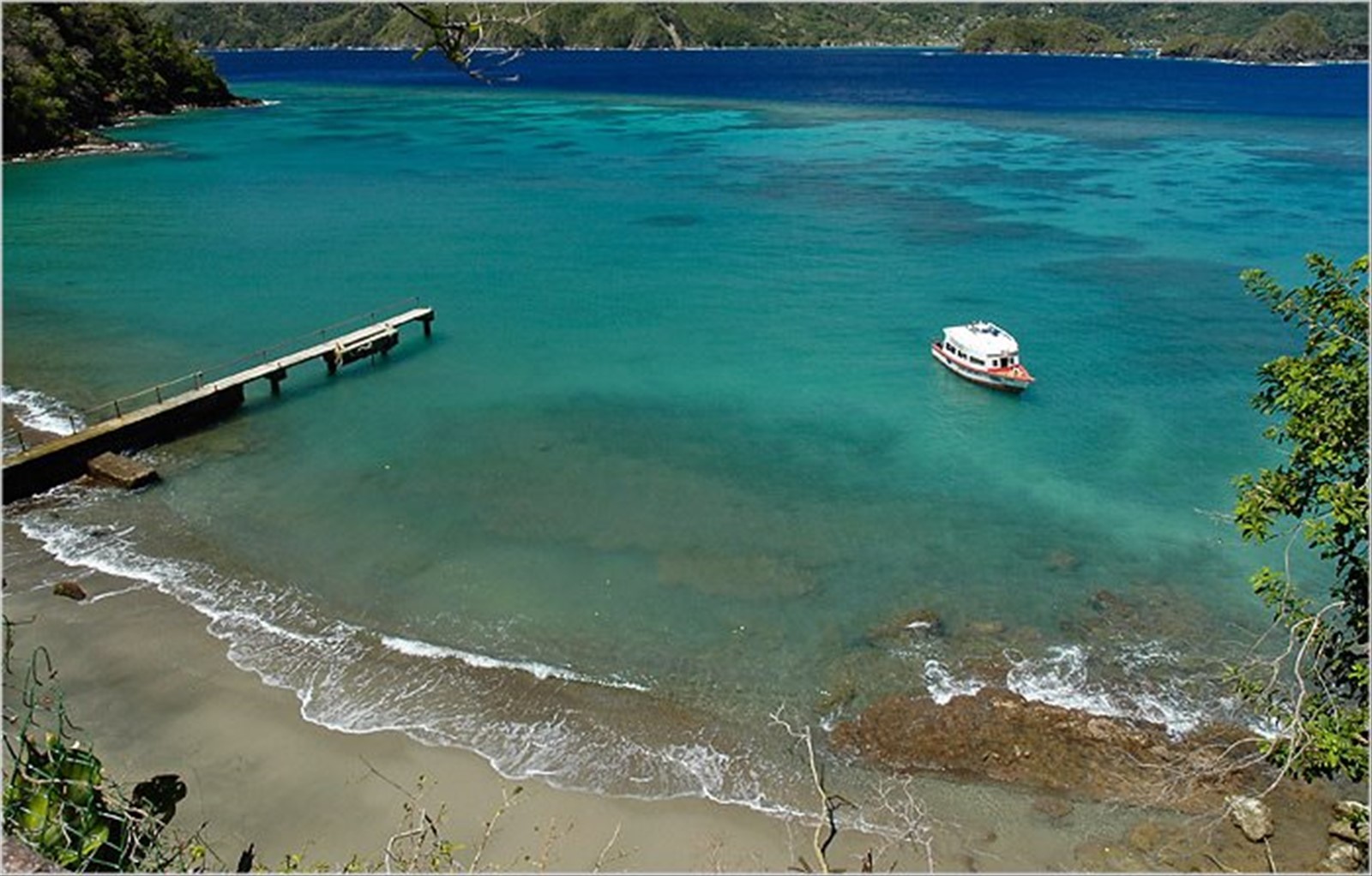 LITTLE TOBAGO