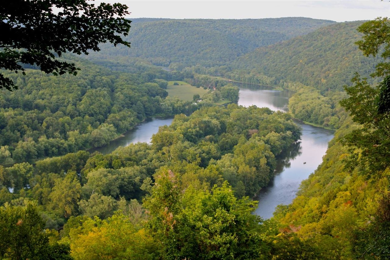 ALLEGHENY NATL FOREST