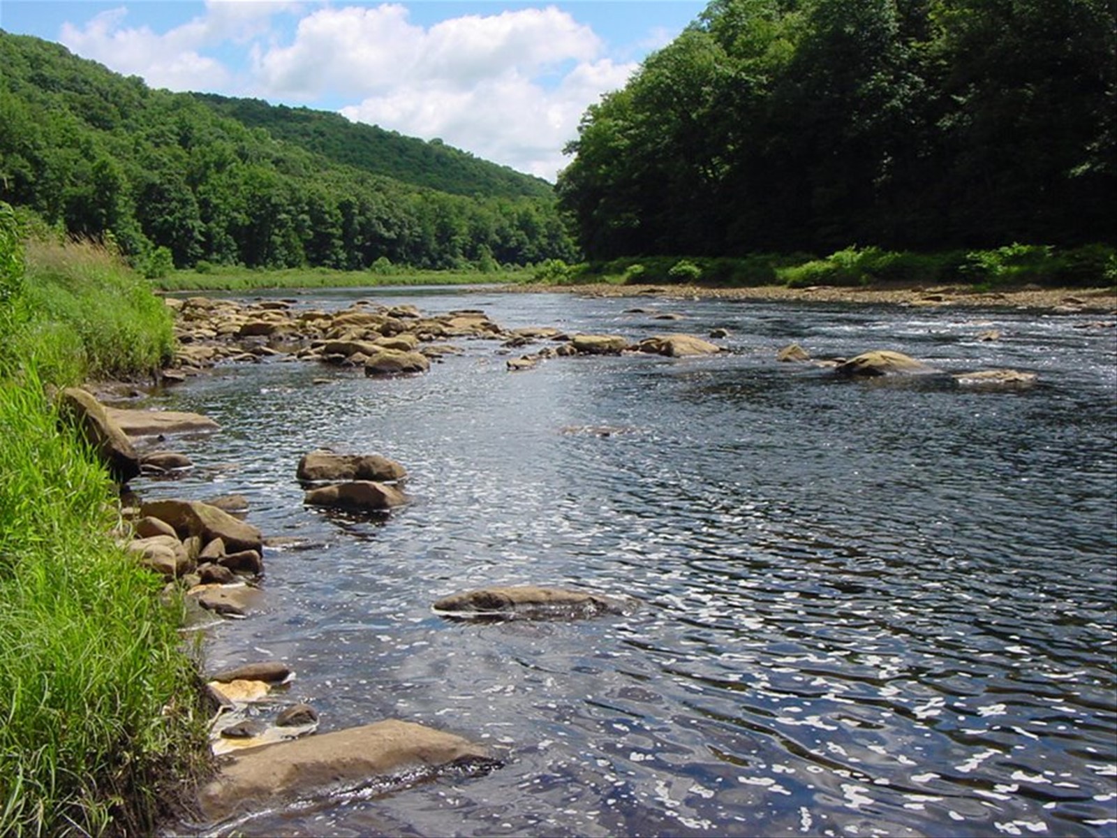 ALLEGHENY RIVER