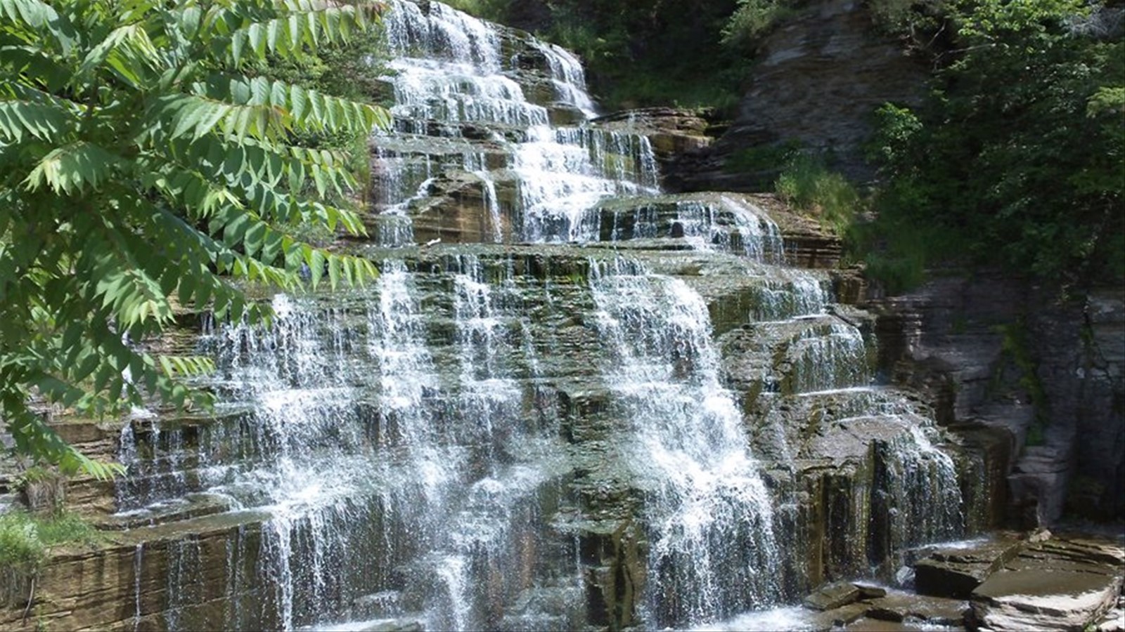 HECTOR FALLS