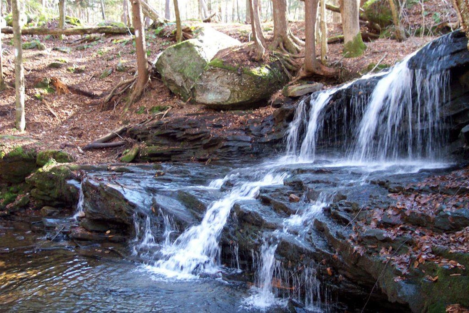 LOGAN FALLS