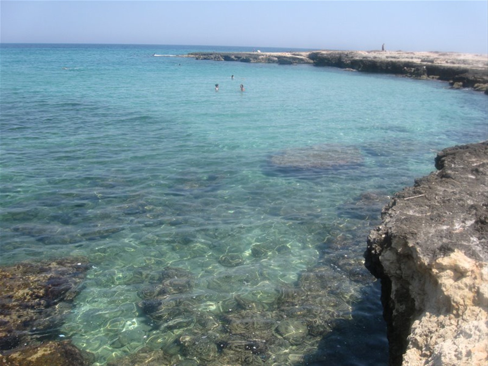 costa merlata