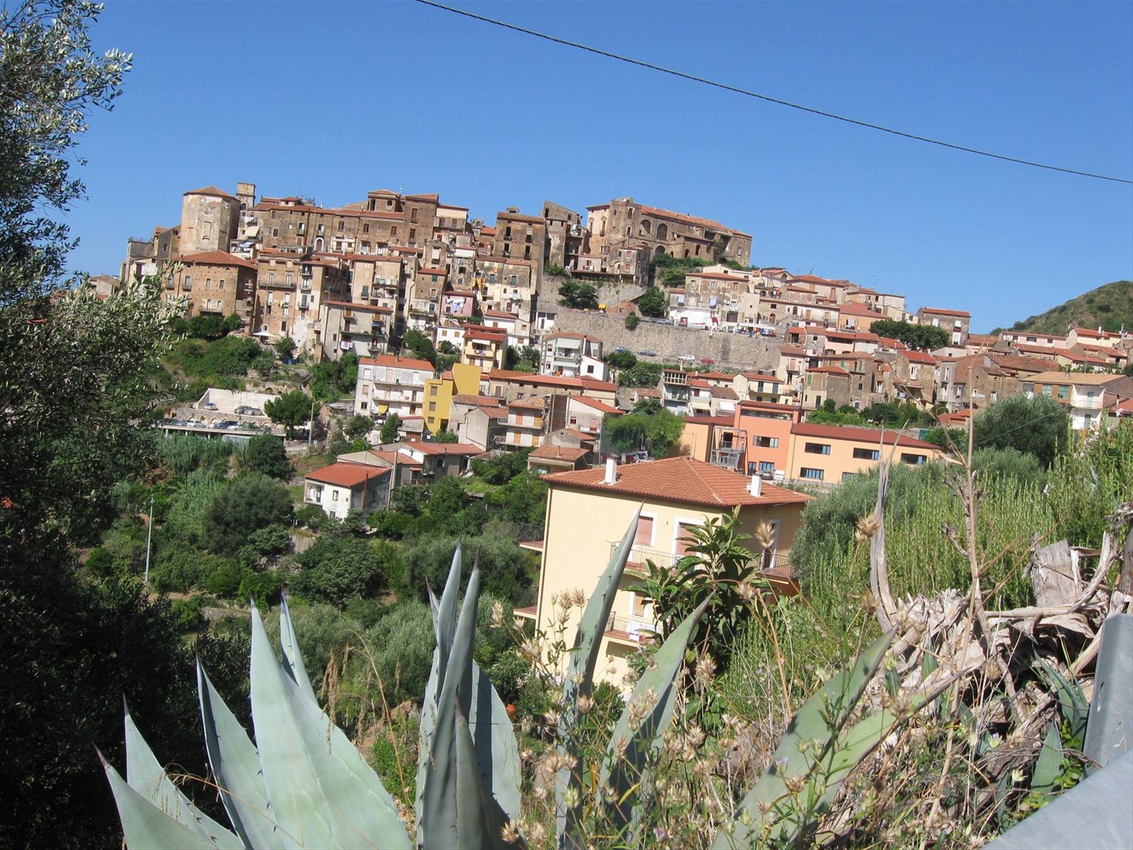 PISCIOTTA