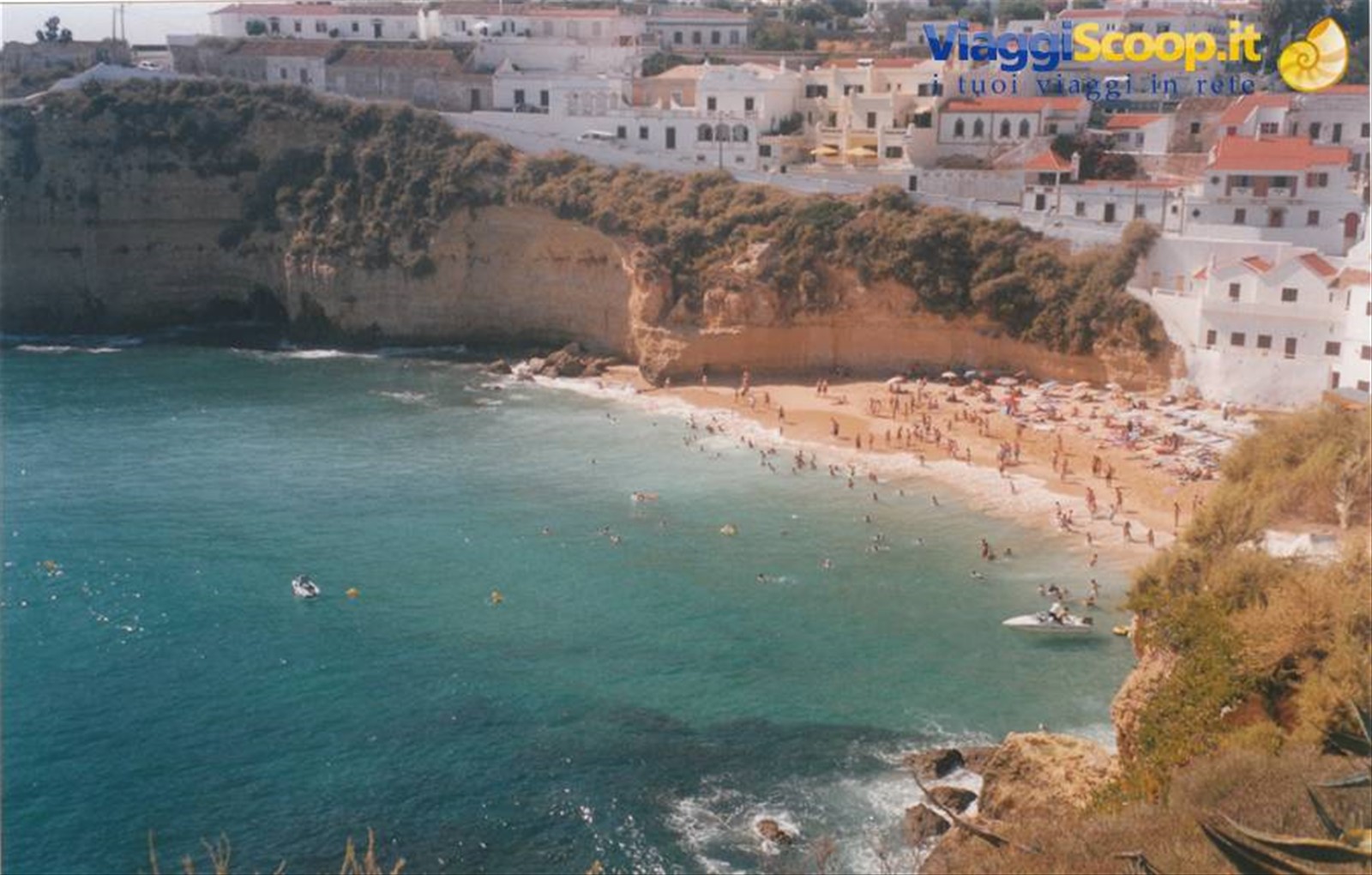 CARVOEIRO