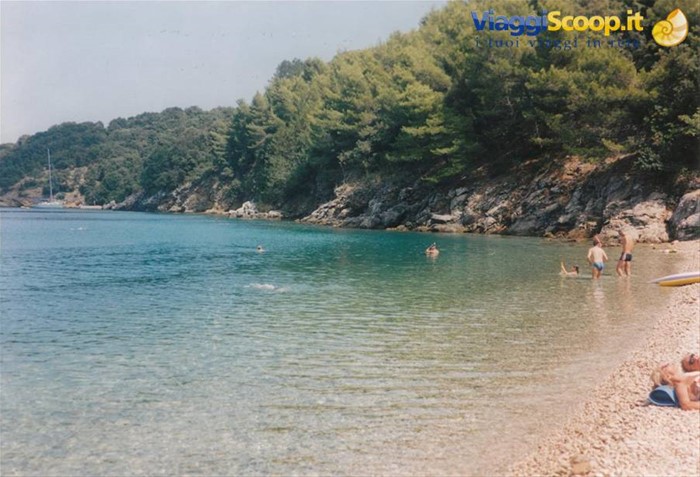 VALUN