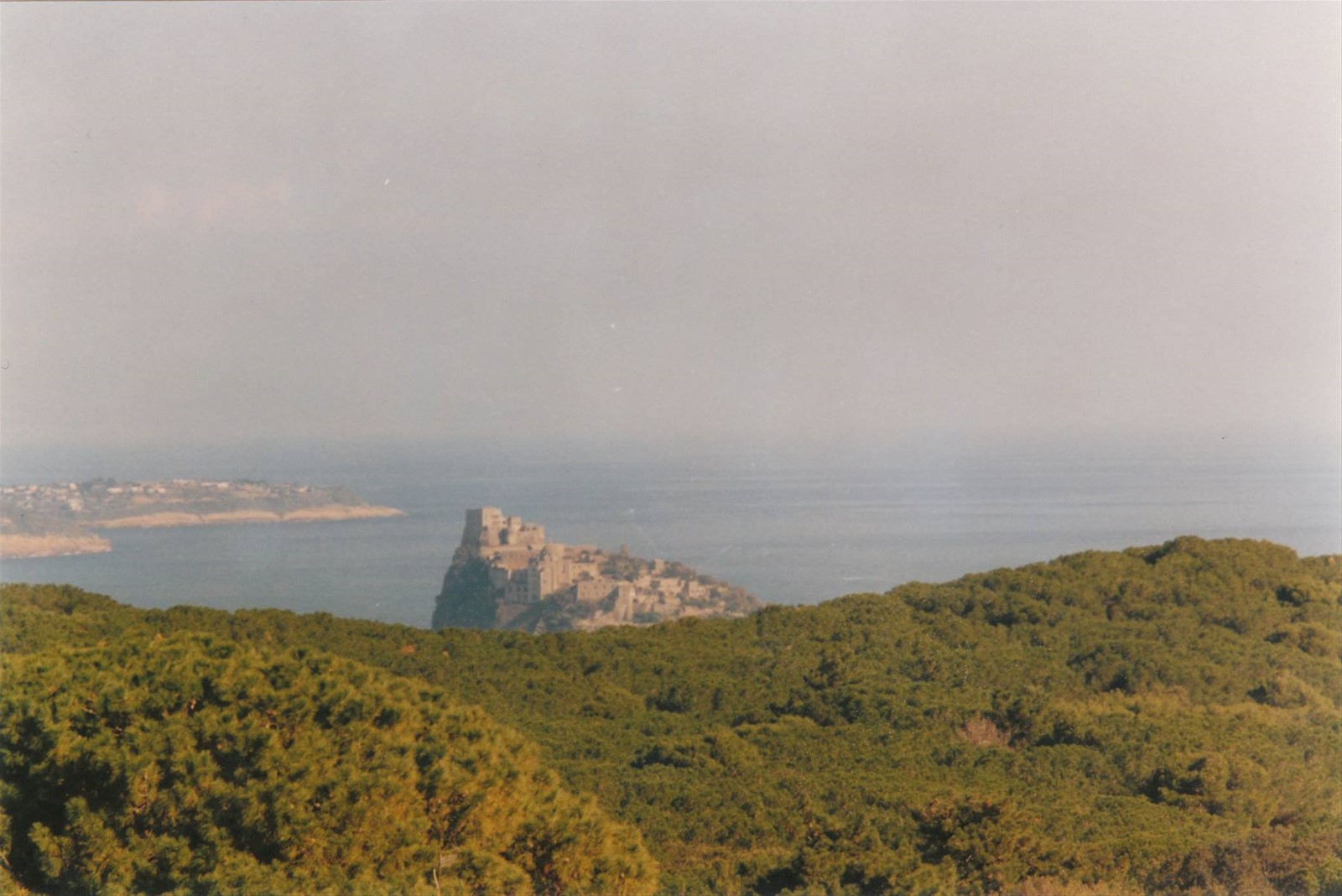 PANORAMA