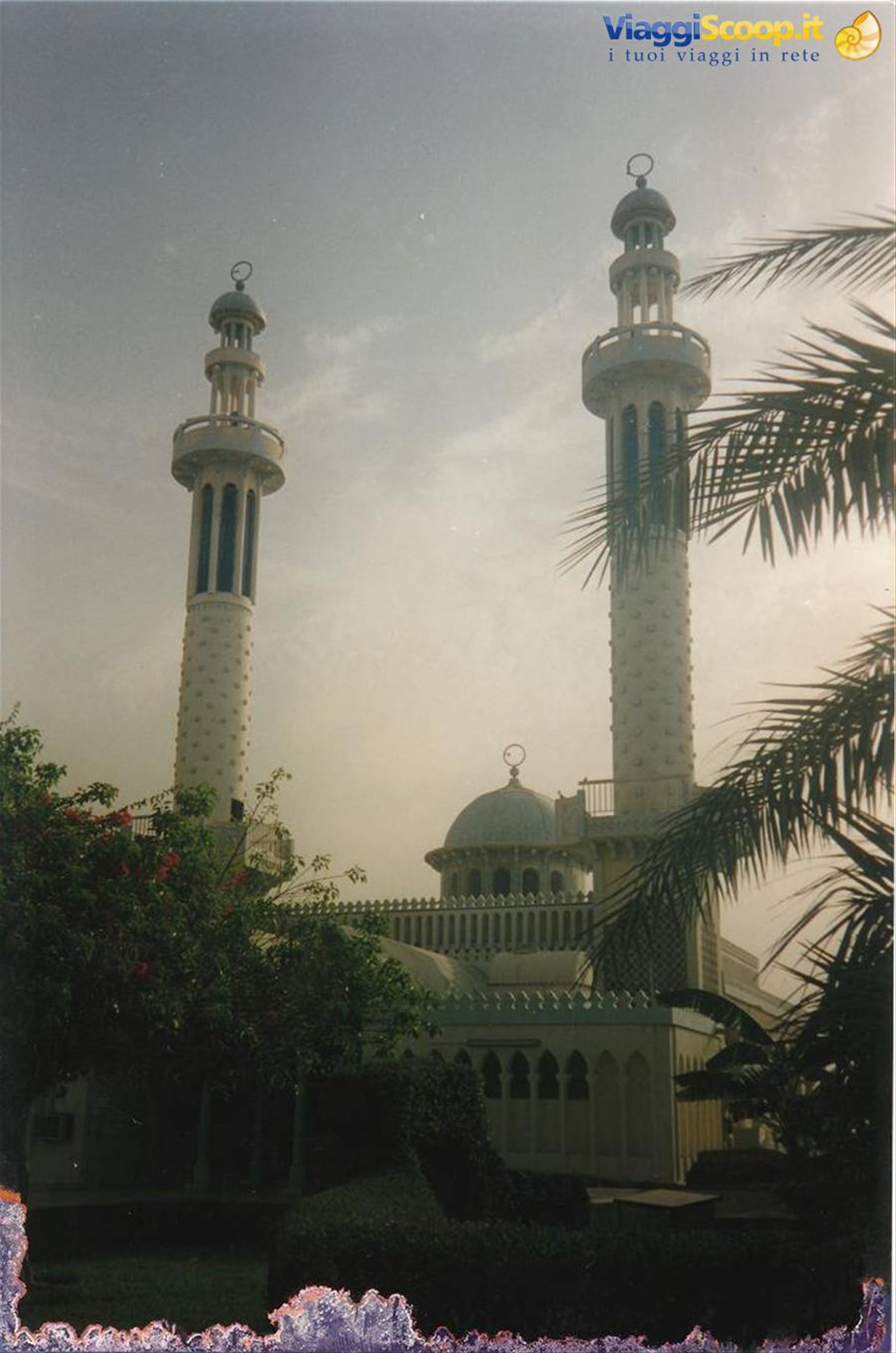 Foto di viaggio in EMIRATI ARABI UNITI
