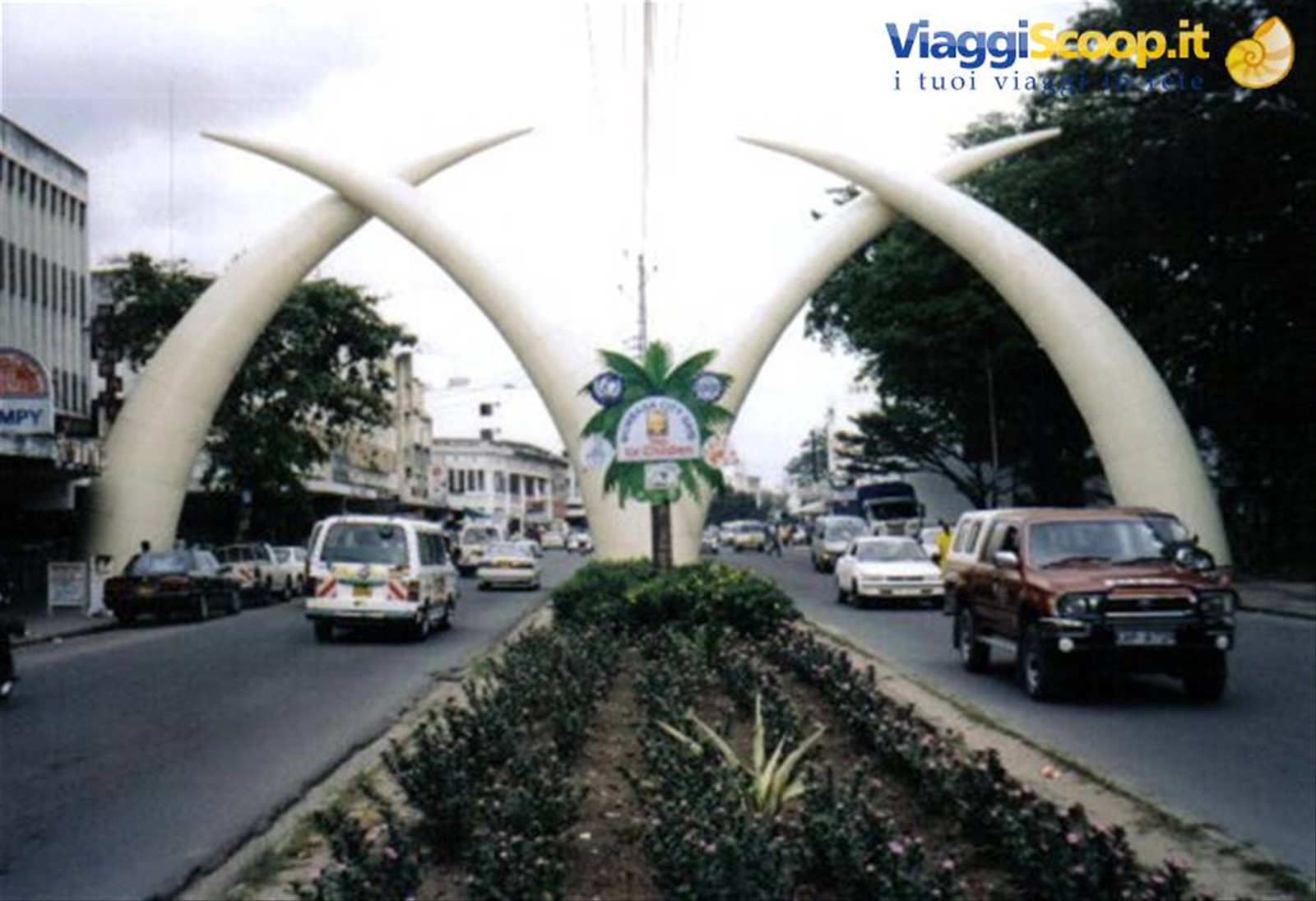 Mombasa tusks