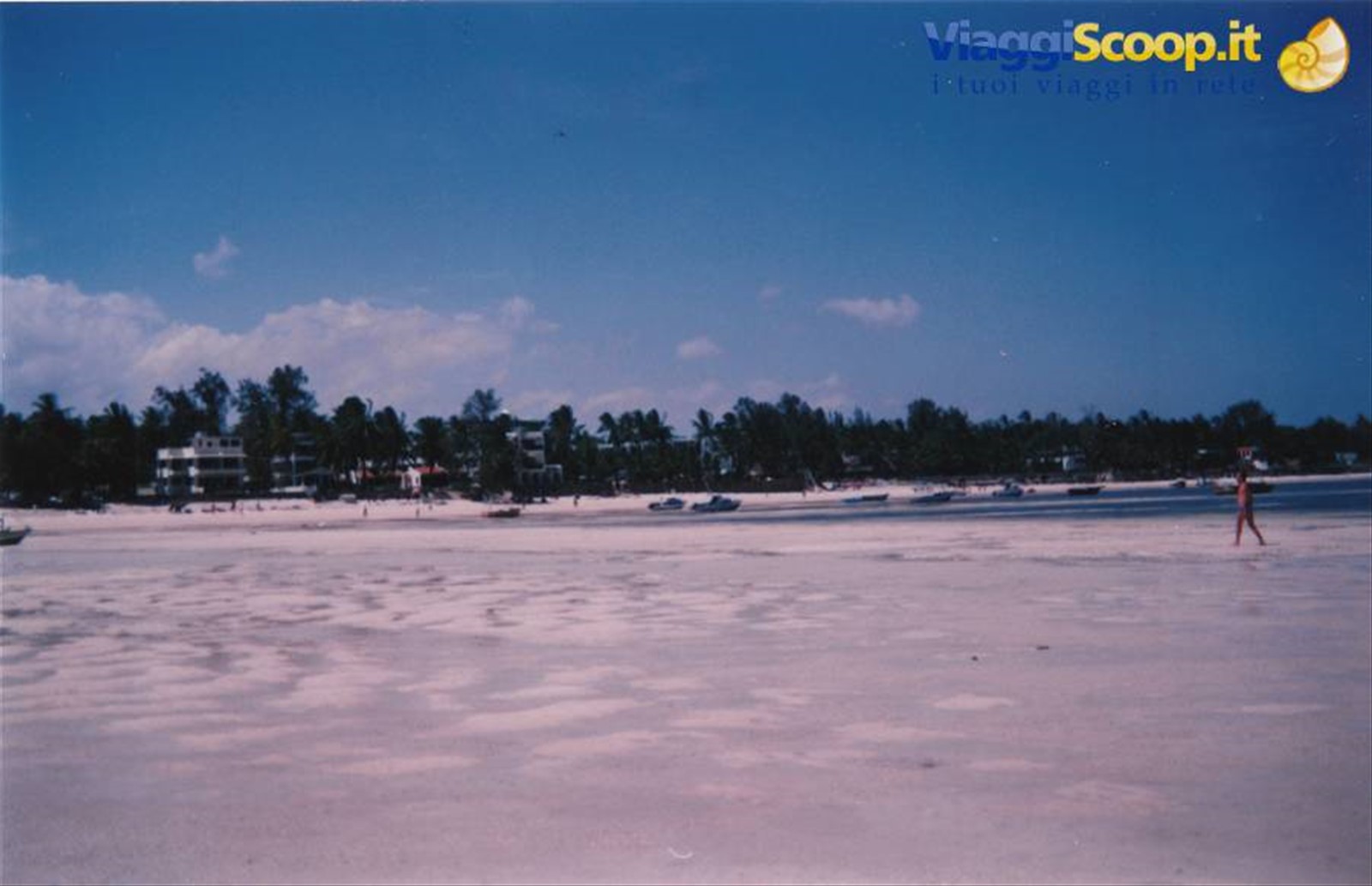 la bianchissima spiaggia del White Sands