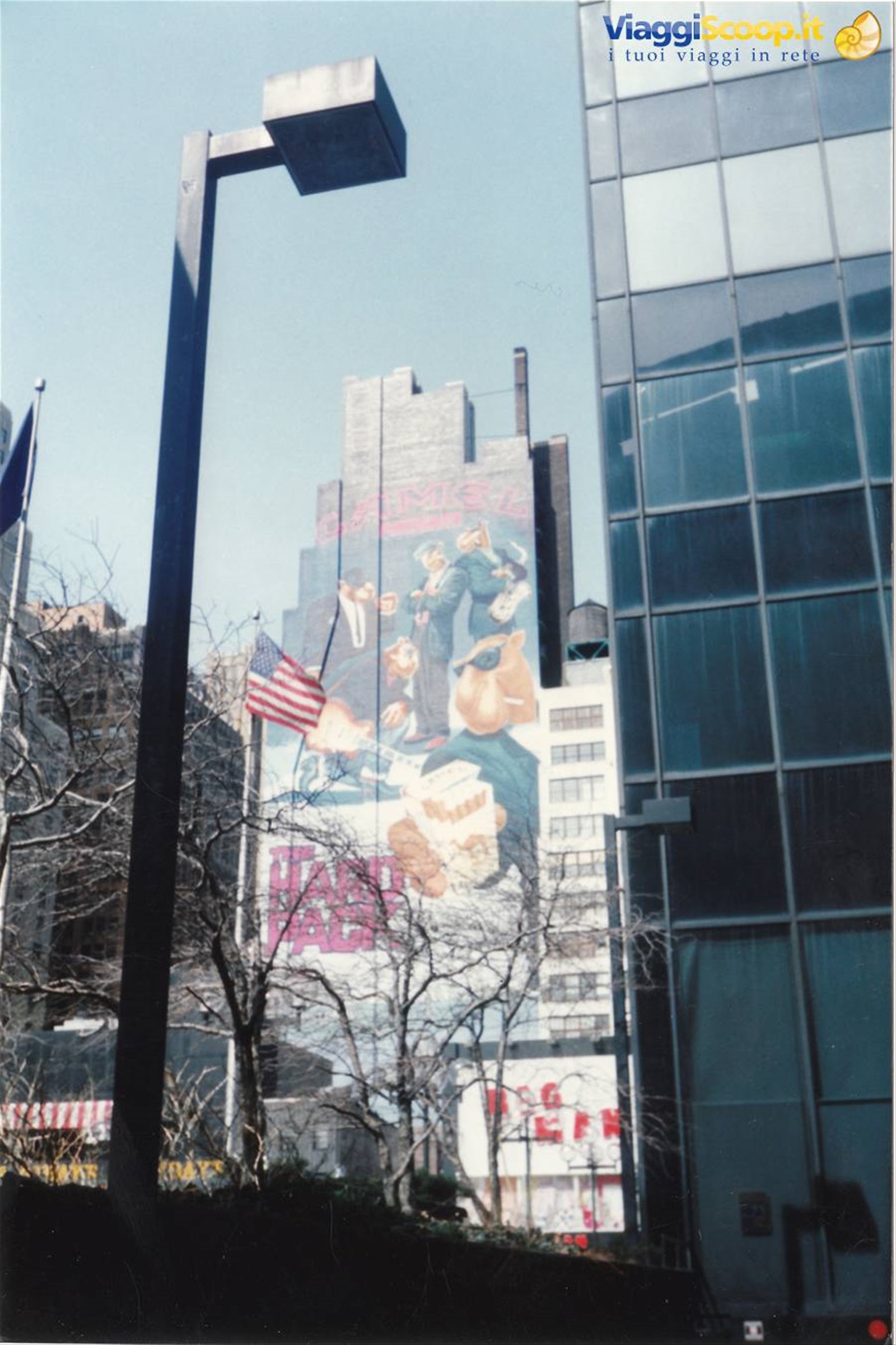 N.Y. City