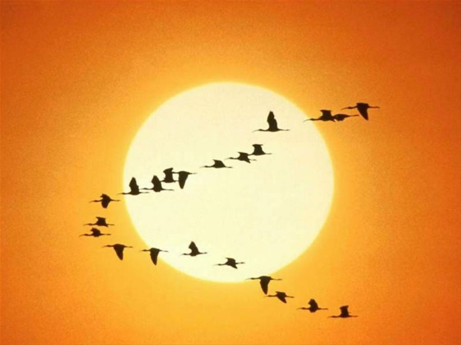 tramonto gibutino