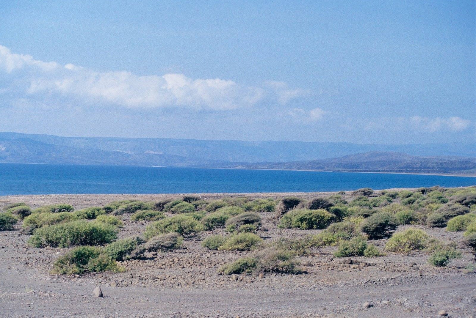 Golfo di Tajoura