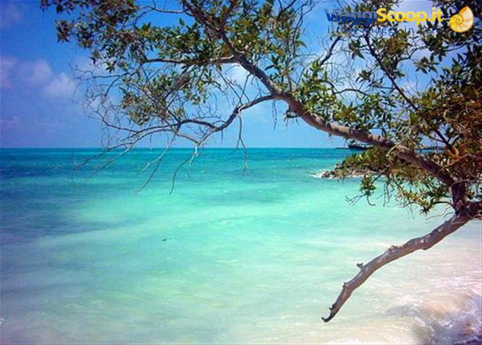 isola di Moucha