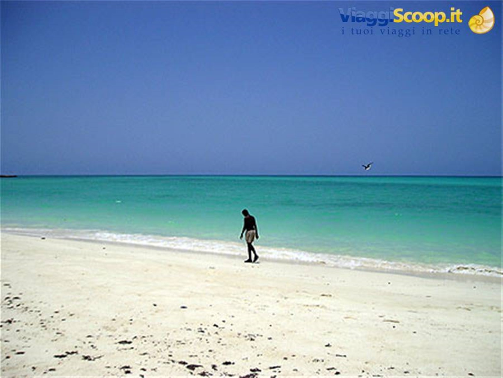 Foto di viaggio in DJIBOUTI