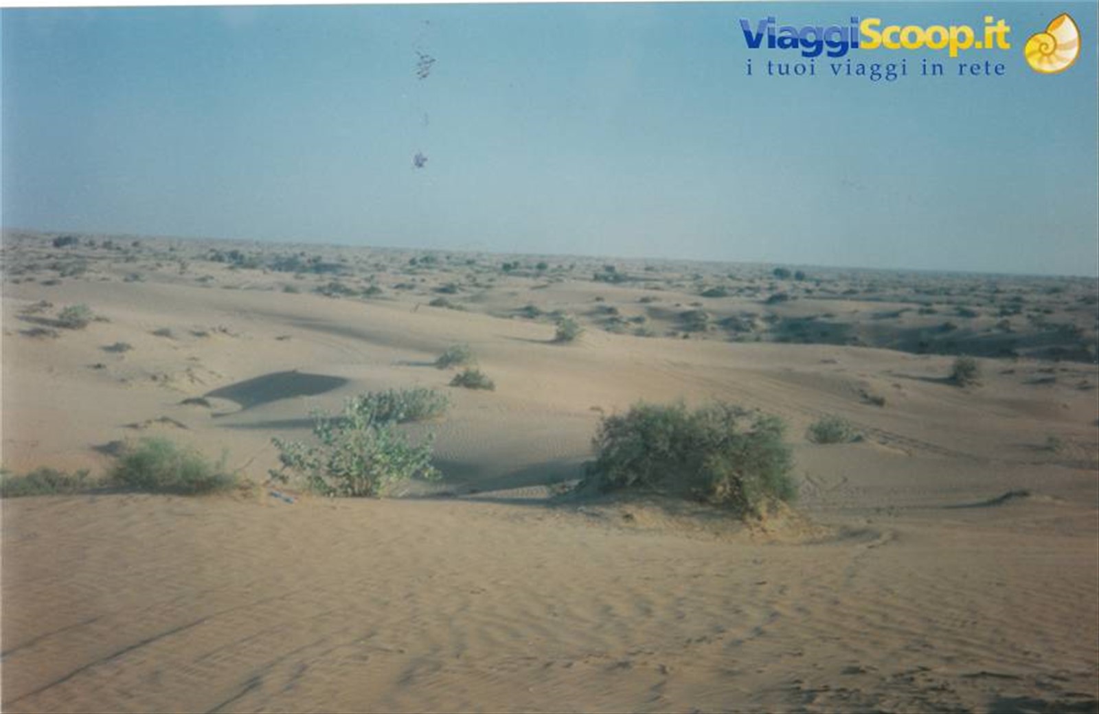 Foto di viaggio in EMIRATI ARABI UNITI